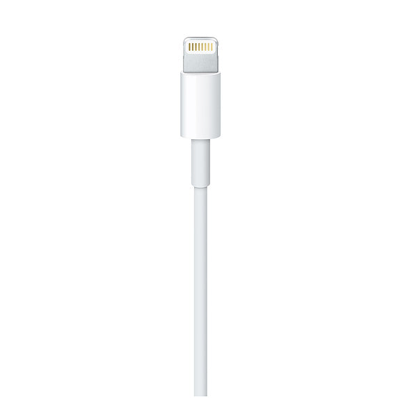 Apple Lightning to USB Cable 6ft (2m) - Rekes Sales