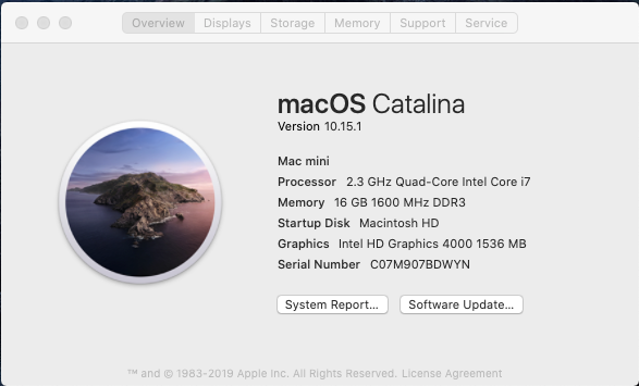 Apple Mac mini MD389LL/A - Intel i7 / 16GB Ram / 500GB SSD x2 / OS Catalina
